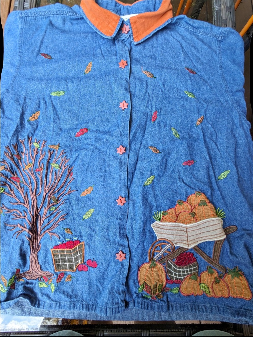 Blue Embroidered Women’s Denim Shirt - Blue